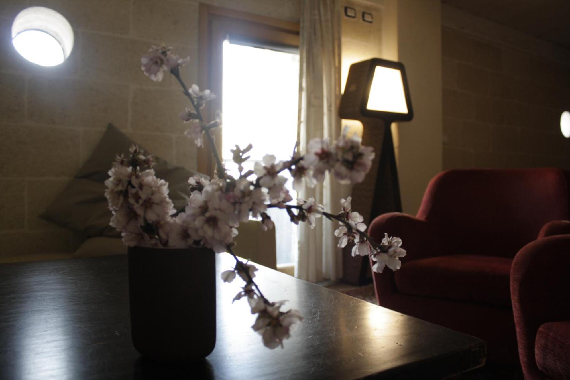 Apn Holiday Home Altamura Exterior photo